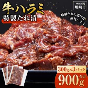 ふるさと納税 川崎市 【順次発送】訳あり 牛ハラミ 特製たれ漬 900g 牛肉 お肉 肉 タレ漬け ハラミ 焼肉 焼き肉