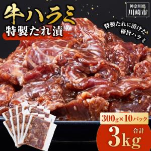 ふるさと納税 川崎市 【順次発送】訳あり 牛ハラミ 特製たれ漬 3kg 牛肉 お肉 肉 タレ漬け ハ...