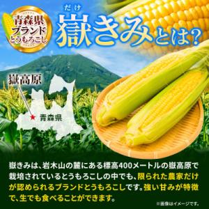 ふるさと納税 弘前市 とうもろこし 朝採り 嶽...の詳細画像2