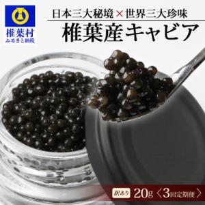 ふるさと納税 椎葉村 【3回定期便】【訳あり】国産 キャビア HEIKE CAVIAR 20g × ...