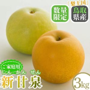 ふるさと納税 八頭町 新甘泉(家庭用) 3kg【Y's Farm Tottori】