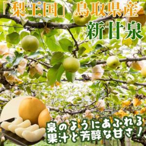 ふるさと納税 八頭町 新甘泉(家庭用) 3kg...の詳細画像1