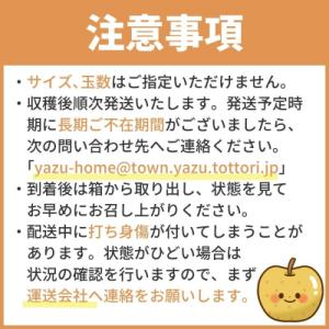 ふるさと納税 八頭町 新甘泉(家庭用) 3kg...の詳細画像3