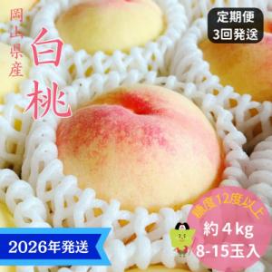 ふるさと納税 瀬戸内市 【2026年先行受付】3回 定期便 白桃 特秀 ロイヤル 大玉 岡山県産[No.5735-3334]