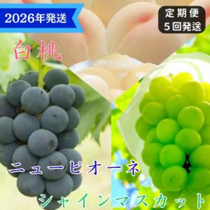 ふるさと納税 瀬戸内市 5回 定期便 白桃 ニューピオーネ シャインマスカット 晴王 岡山県産[No.5735-3335]