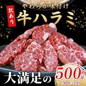 ふるさと納税 西予市 <やわらか味付き 牛ハラミ 約500g> 麹熟成 こうじ 訳あり 牛肉 肉 はらみ ハラミ｜Yahoo!ふるさと納税