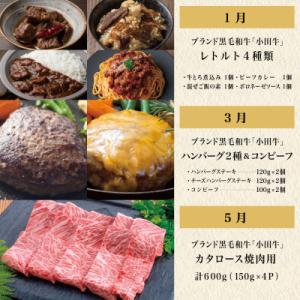 ふるさと納税 南さつま市 【全6回】プレミアム...の詳細画像1