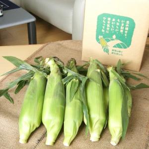 ふるさと納税 美瑛町 とうもろこし 雪の妖精 ...の詳細画像3