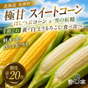 ふるさと納税 美瑛町 とうもろこし (ほしつぶコーン&amp;雪の妖精) 各4本 計8本【令和8年産先行受付!】黒木農場