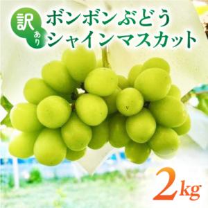 ふるさと納税 東御市 【先行受付2026年発送】訳アリボンボンぶどう!シャインマスカットたっぷり2kg|信州東御ぶどう園