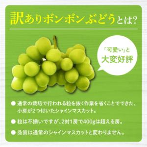 ふるさと納税 東御市 【先行受付2026年発送...の詳細画像1