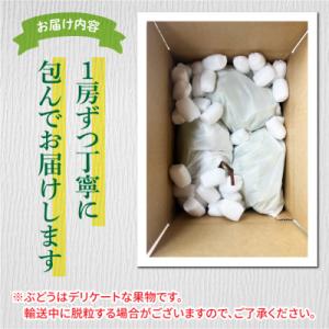 ふるさと納税 東御市 【先行受付2026年発送...の詳細画像2