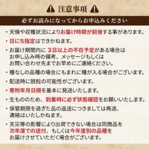 ふるさと納税 東御市 【先行受付2026年発送...の詳細画像3