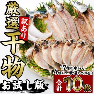 ふるさと納税 佐伯市 <訳あり> 厳選 干物 お試し版 (総量10枚)