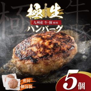 ふるさと納税 福智町 極生ハンバーグ 5個セット(150g×5)