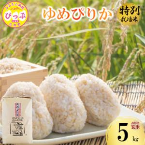 ふるさと納税 比布町 令和7年産 特別栽培米 ゆめぴりか みがき玄米 5kg 【西間農園】1005-051