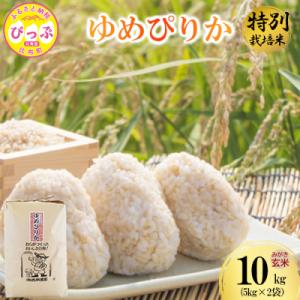 ふるさと納税 比布町 令和7年産 特別栽培米 ゆめぴりか みがき玄米 10kg(5kg×2) 【西間農園】1005-052