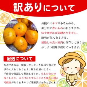 ふるさと納税 西予市 <木下さんちのみか...の詳細画像2