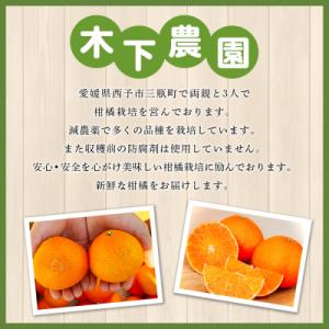 ふるさと納税 西予市 <木下さんちのみか...の詳細画像3