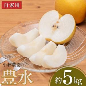 ふるさと納税 三条市 先行予約 和梨 豊水 自家用 約5kg 小林農園 【010P072】