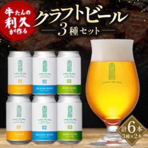 ふるさと納税 角田市 【希望の丘醸造所】 クラフトビール3種 各2本(各350ml)計6本セット