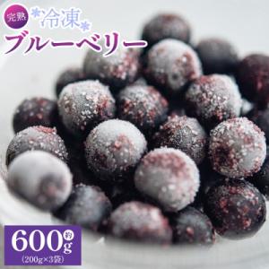 ふるさと納税 香南市 完熟 冷凍ブルーベリー 約600g(200g×3) 小分け yg-0027