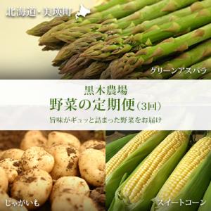 ふるさと納税 美瑛町 野菜 定期便 3回便【令和9年産先行受付】北海道 野菜 黒木農場