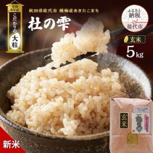 ふるさと納税 能代市 先行予約 新米 令和8年 あきたこまち 5kg 玄米[No.5335-1505]