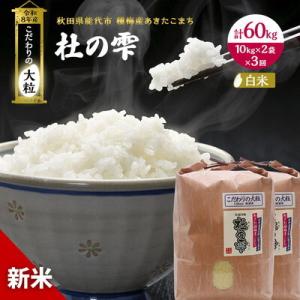 ふるさと納税 能代市 先行予約 新米 定期便3ヶ月 あきたこまち20kg 計60kg [No.5335-1578]