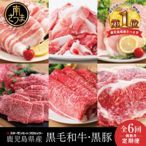 ふるさと納税 南さつま市 【定期便 全6回】スターゼン厳選お肉の定期便(鹿児島県産黒毛和牛・黒豚)