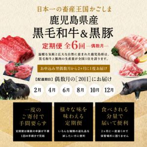 ふるさと納税 南さつま市 【定期便 全6回】ス...の詳細画像1