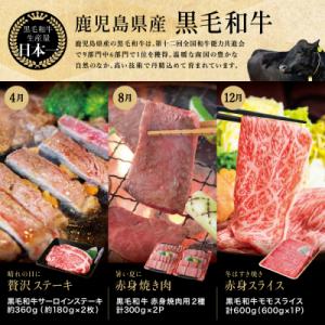 ふるさと納税 南さつま市 【定期便 全6回】ス...の詳細画像2
