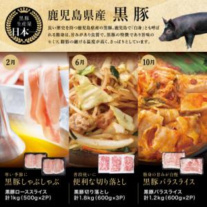 ふるさと納税 南さつま市 【定期便 全6回】ス...の詳細画像3