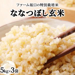 ふるさと納税 岩見沢市 令和7年産 ファーム坂口の特別栽培米 ななつぼし玄米 15kg