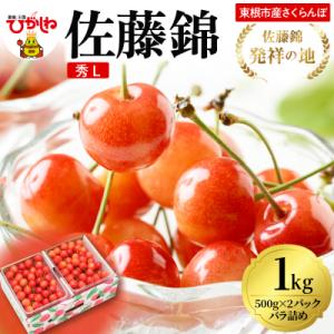 ふるさと納税 東根市 2026年 東根産さくらんぼ「佐藤錦」1kgバラ詰め 秀品 Lサイズ hi02...