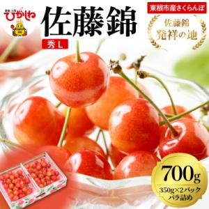 ふるさと納税 東根市 2026年 東根産さくらんぼ「佐藤錦」700gバラ詰め 秀品 Lサイズ hi0...