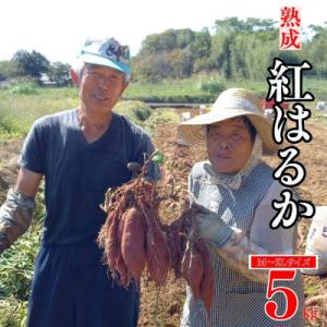 ふるさと納税 愛南町 熟成 紅はるか 5kg M から 2L サイズ サツマイモ 愛媛県 愛南町 愛...
