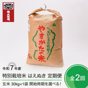 ふるさと納税 大石田町 米 【玄米2回定期便 2月・5月発送】 はえぬき 30kg×2回 令和7年産  山形県