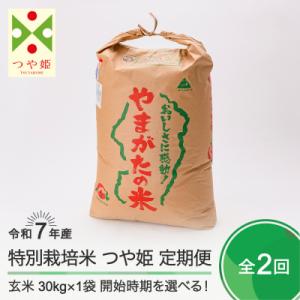 ふるさと納税 大石田町 米 【玄米2回定期便 3月・6月発送】 つや姫 30kg×2回 令和7年産  山形県