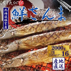ふるさと納税 根室市 【北海道根室産】鮮さんま16尾入(計2kg) A-50020