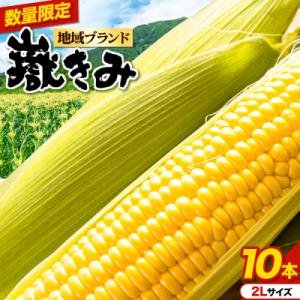 ふるさと納税 弘前市 とうもろこし 青森県弘前市産 嶽きみ(だけきみ)2Lサイズ 10本|24_bny-061001