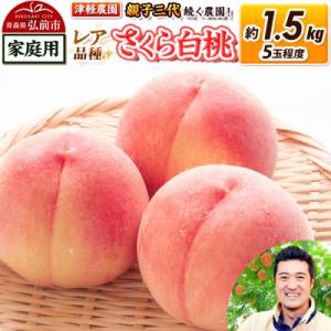 ふるさと納税 弘前市 桃 約1.5kg【2026年産 レア品種 さくら白桃】家庭用|24_tgn-0...