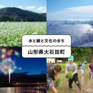 ふるさと納税 大石田町 【先行予約】 りんご ...の詳細画像2