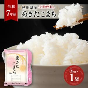 ふるさと納税 羽後町 【令和7年産】定期便 秋田県産あきたこまち 5kg×1袋 全6回[No.5325-0383]