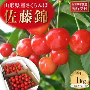 ふるさと納税 河北町 【令和9年産】 さくらんぼ「佐藤錦」 1kg(500gバラ詰め×2) 秀以上 ...