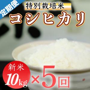 ふるさと納税 三原村 令和7年産 (精白米)　特別栽培米　こしひかり10kg×5袋
