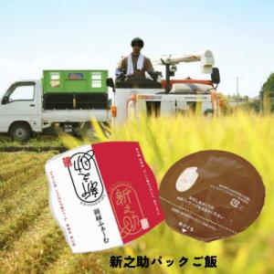 ふるさと納税 阿賀野市 新之助パック ご飯 1...の詳細画像1