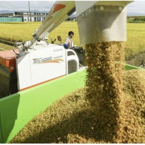 ふるさと納税 阿賀野市 新之助パック ご飯 1...の詳細画像2