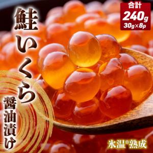 ふるさと納税 石巻市 いくら 醤油漬け ( 30g×2p ) × 4袋 合計240g 氷温熟成 イク...