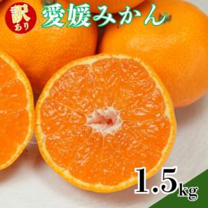 ふるさと納税 愛南町 訳あり愛媛みかん 1.5kg 温州みかん みかん 先行予約 柑橘 傷み補償 不...